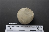 石鎚藏品圖，第2張