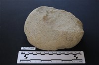 石核藏品圖，第2張