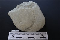 石核藏品圖，第2張
