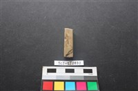 錛鑿形器藏品圖，第2張