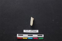 錛鑿形器藏品圖，第2張