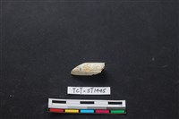 錛鑿形器藏品圖，第3張