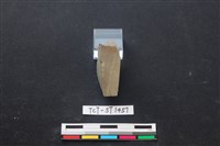 錛鑿形器藏品圖，第2張