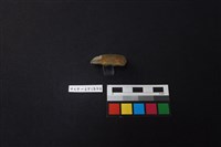 錛鑿形器藏品圖，第2張