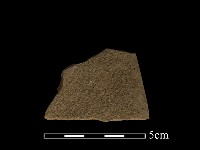 石鋸藏品圖，第1張