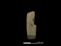 錛鑿形器藏品圖，第2張