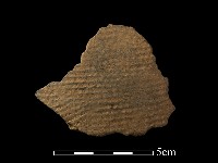 陶片藏品圖，第1張