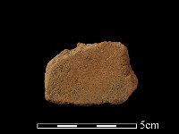 陶片藏品圖，第2張