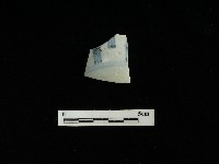 瓷碗藏品圖，第1張