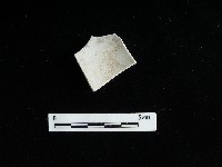 瓷碗藏品圖，第2張