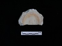 瓷碗藏品圖，第2張