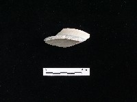 瓷碗藏品圖，第2張