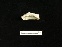 瓷碗藏品圖，第1張