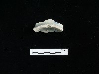 瓷碗藏品圖，第2張