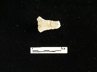 瓷碗藏品圖，第1張