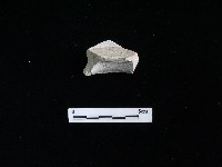 瓷碗藏品圖，第2張