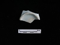 瓷碗藏品圖，第1張