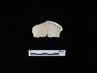 瓷碗藏品圖，第2張