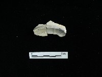 瓷盤藏品圖，第2張