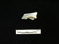 瓷碗藏品圖，第1張