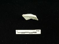 瓷碗藏品圖，第2張