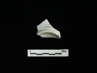 瓷碗藏品圖，第2張