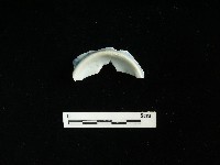 瓷碗藏品圖，第1張