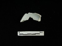 瓷碗藏品圖，第2張