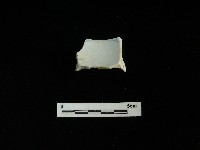 瓷碗藏品圖，第1張