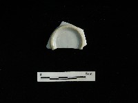 瓷杯藏品圖，第2張