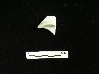 瓷碗藏品圖，第2張