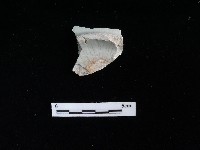 瓷盤藏品圖，第1張