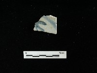 瓷盤藏品圖，第1張