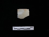 瓷盤藏品圖，第1張