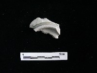 瓷碗藏品圖，第1張