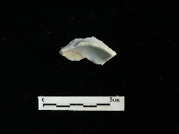 瓷碗藏品圖，第2張