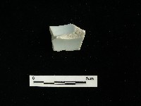 瓷碗藏品圖，第1張