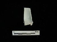 瓷杯藏品圖，第1張