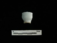 瓷杯藏品圖，第1張