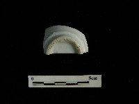 瓷杯藏品圖，第2張