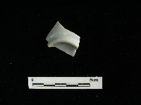 瓷杯藏品圖，第1張