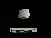 瓷杯藏品圖，第2張