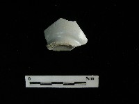 瓷杯藏品圖，第1張