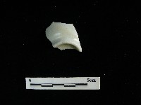 瓷杯藏品圖，第1張