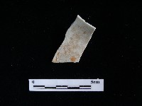 瓷片藏品圖，第1張