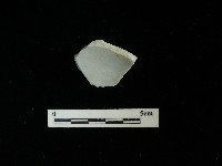 瓷片藏品圖，第1張