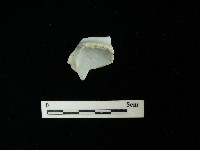 瓷片藏品圖，第1張