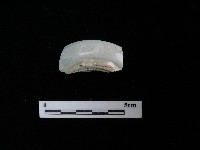 瓷碟藏品圖，第2張