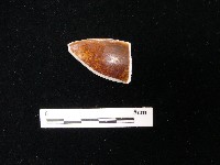 湯匙藏品圖，第2張