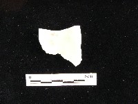 瓷片藏品圖，第3張